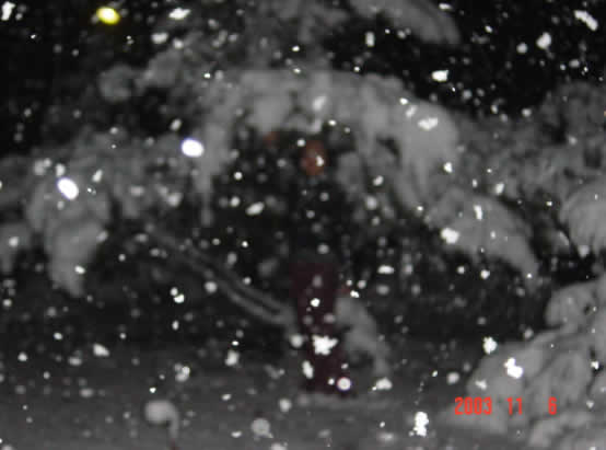 入夜，下起了大雪，在雪夜散步的情景，真的很舒心！</